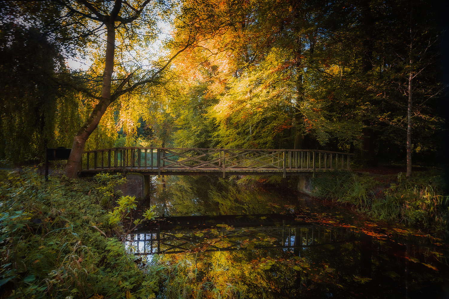 Birr Castle Con