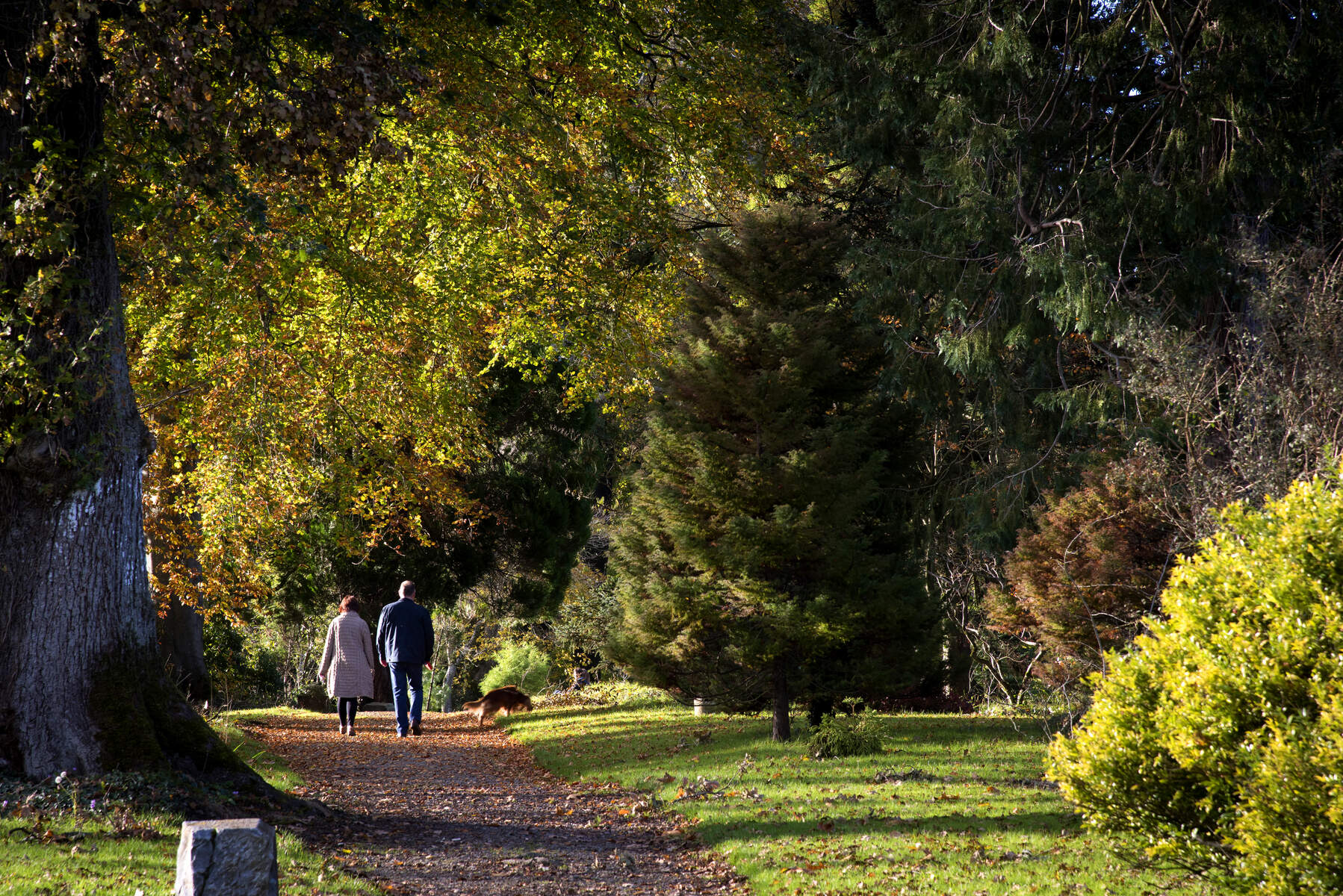 Couple with their dog strolling the grounds of Birr Castle Gardens Science Centre Birr Co Offaly Web Size
