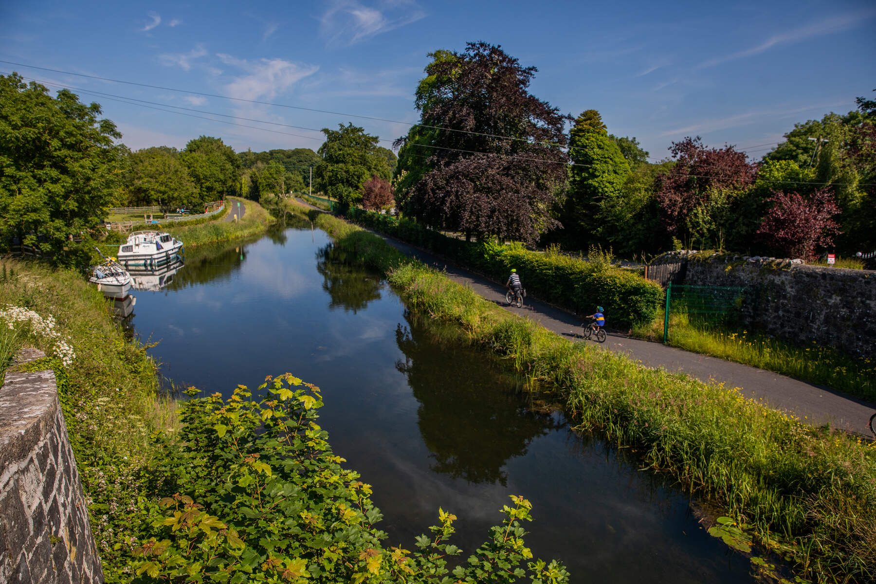 Family cycling the Royal Canal Greenway Co Westmeath Web Size