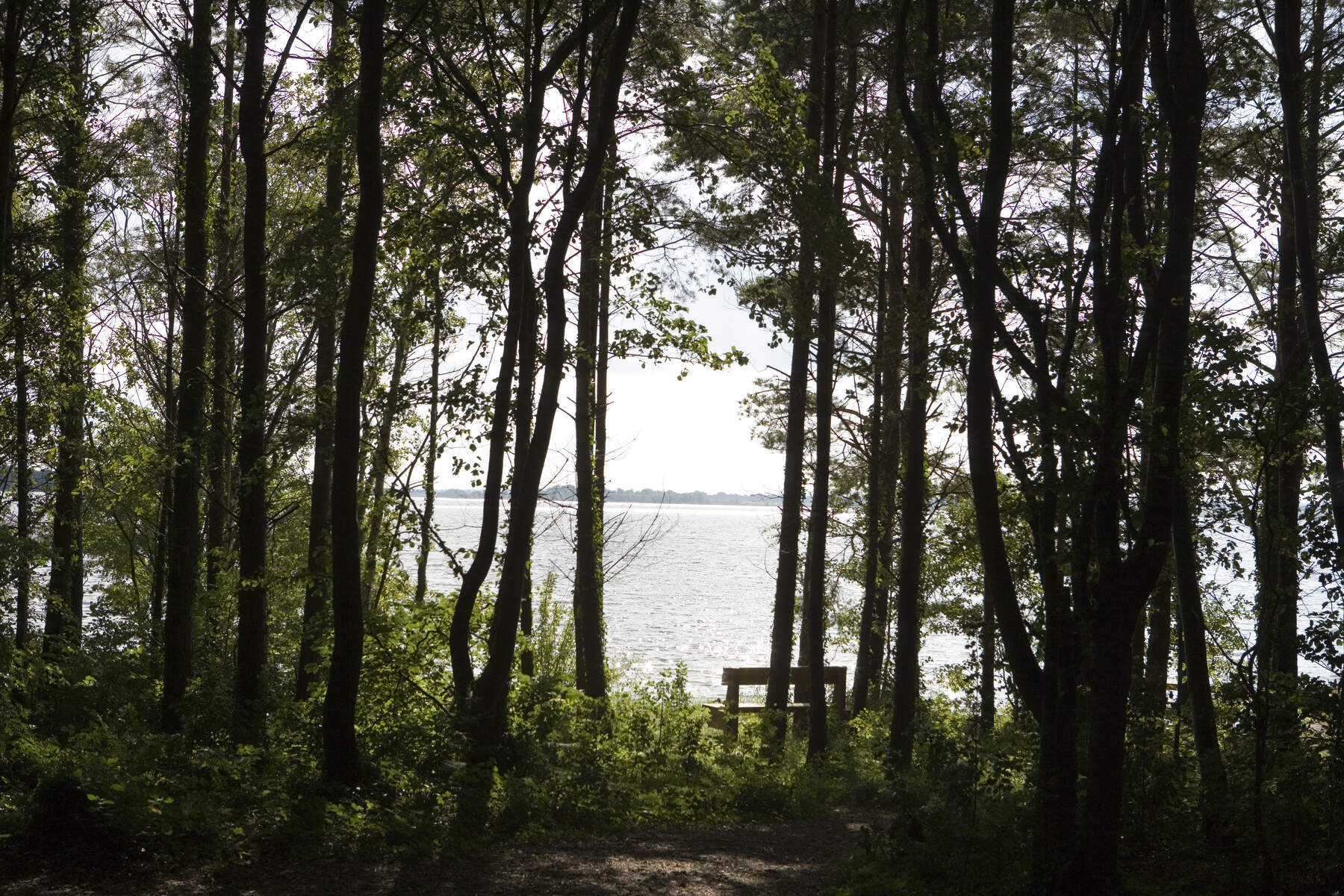 Lough Ennell at Belvedere House Co Web Size