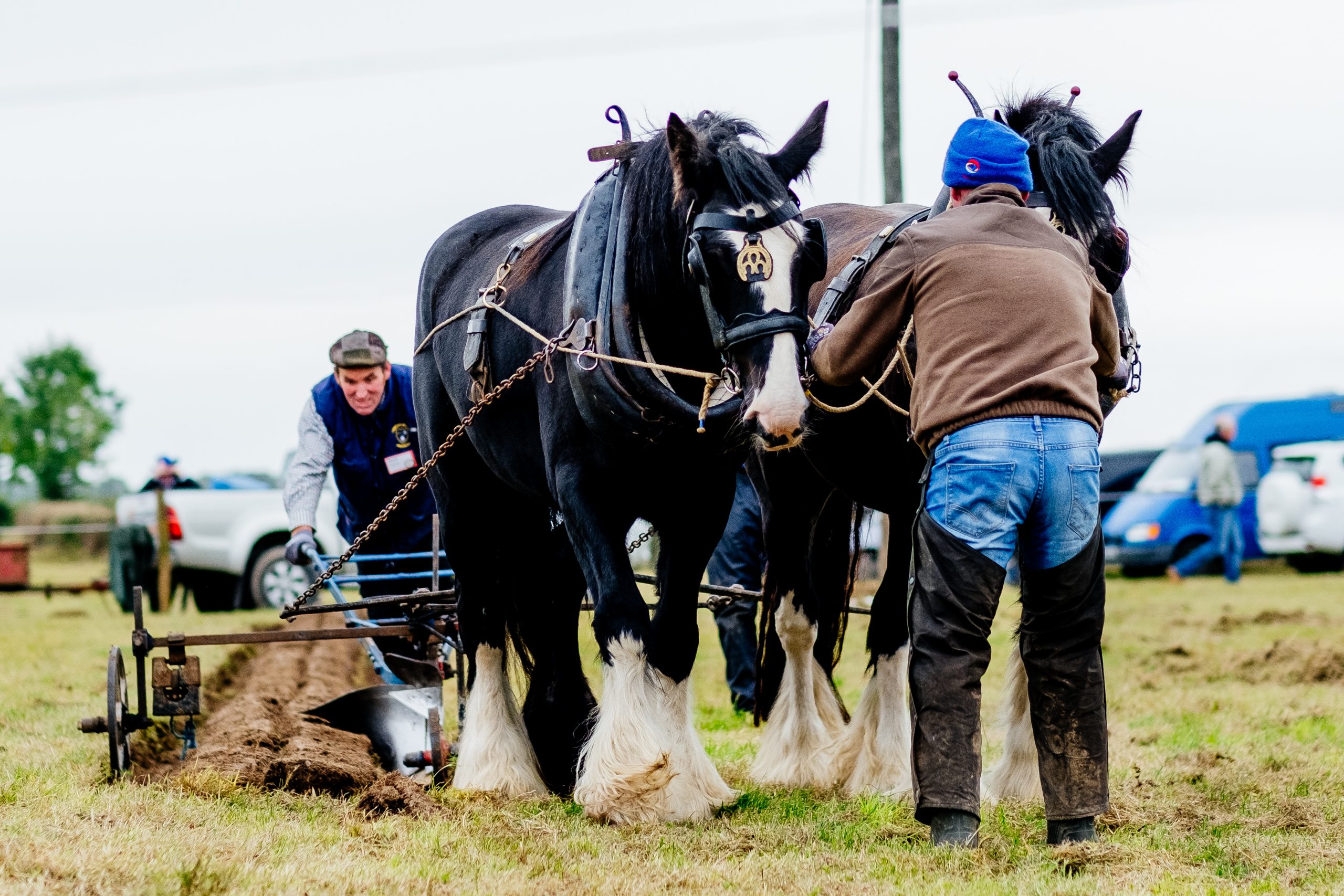 Ploughing 2018 Day 2 41