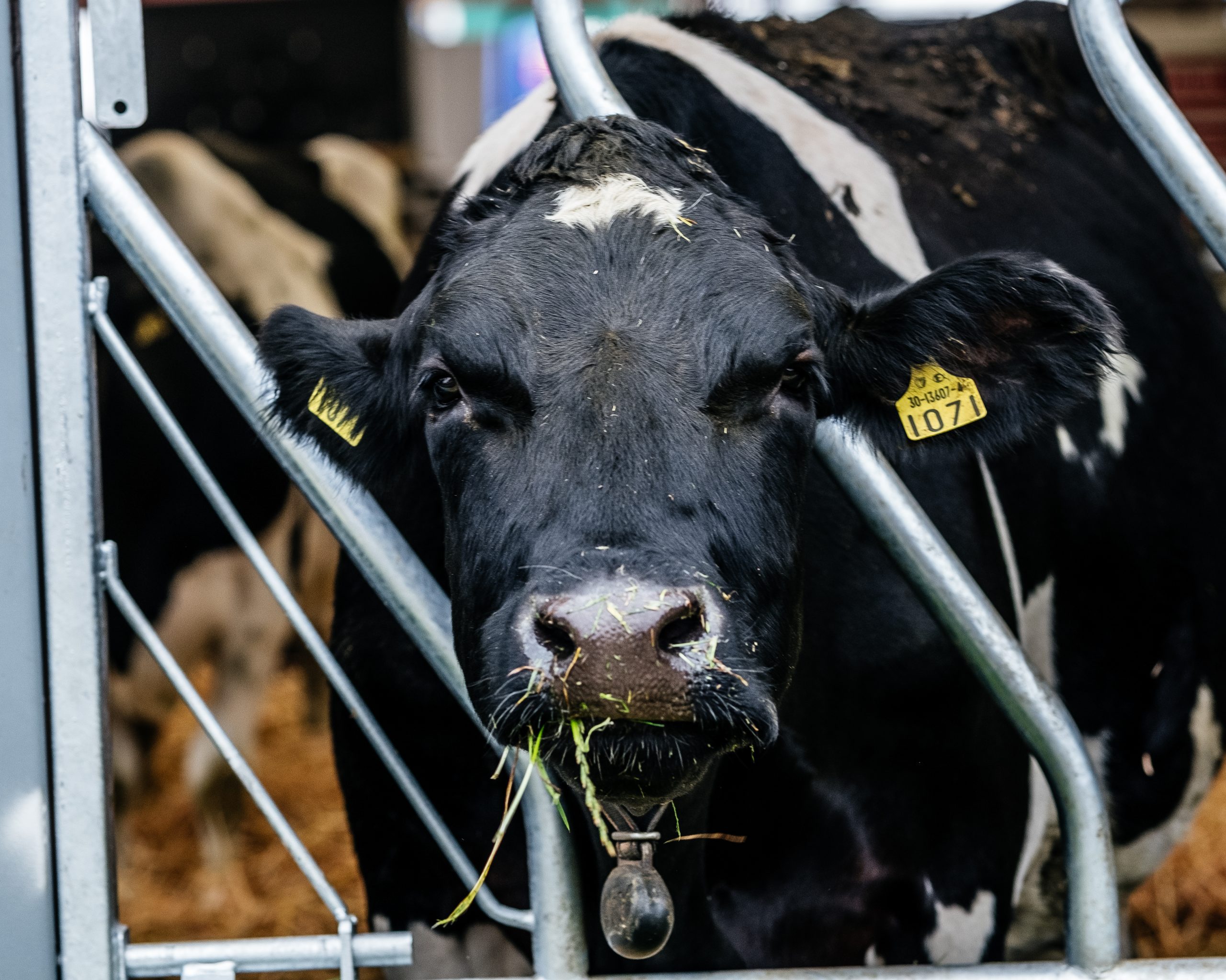 Ploughing 2018 Day 2 72