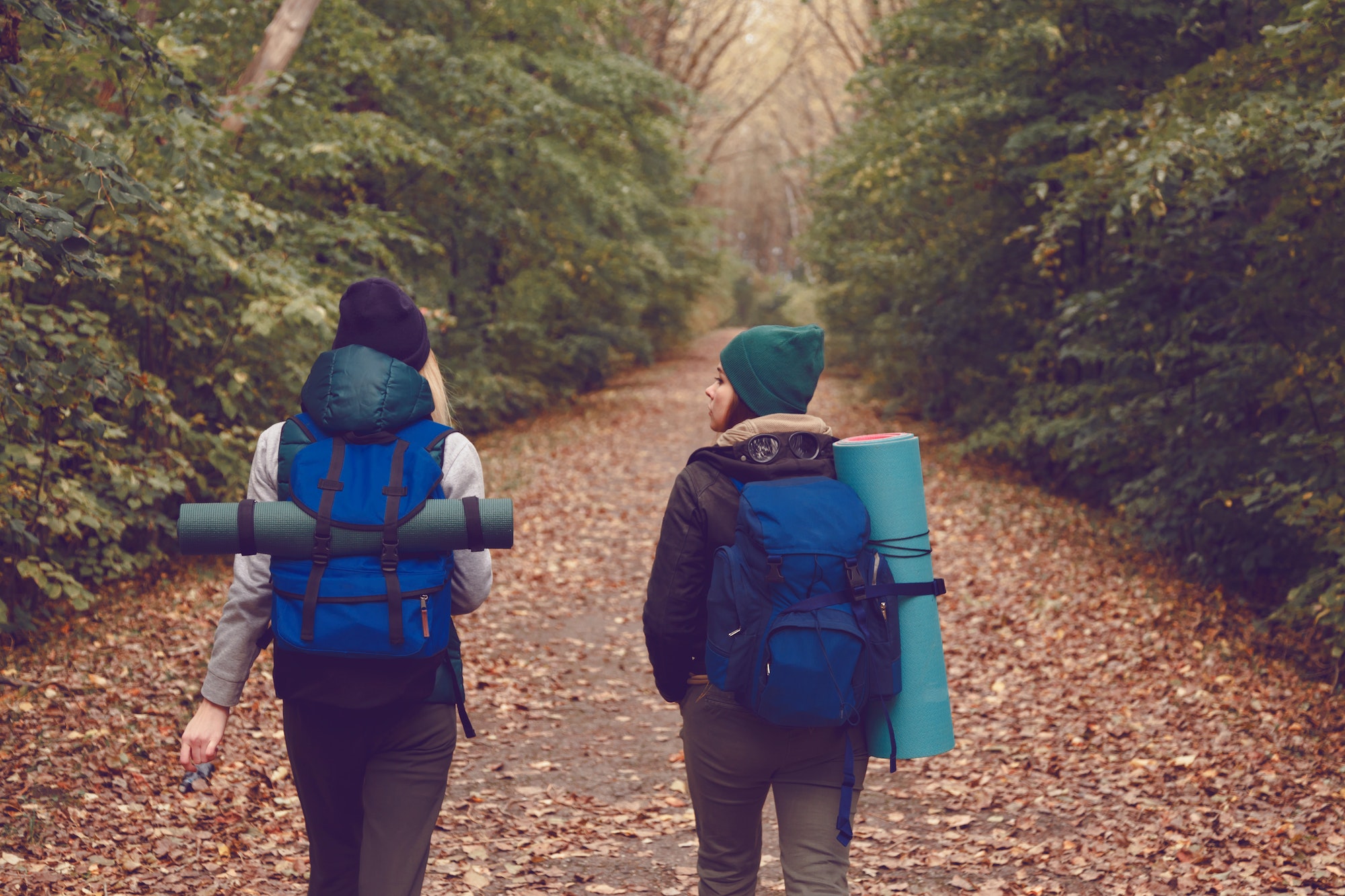 girlfriend traveler with backpacks went hiking in the woods