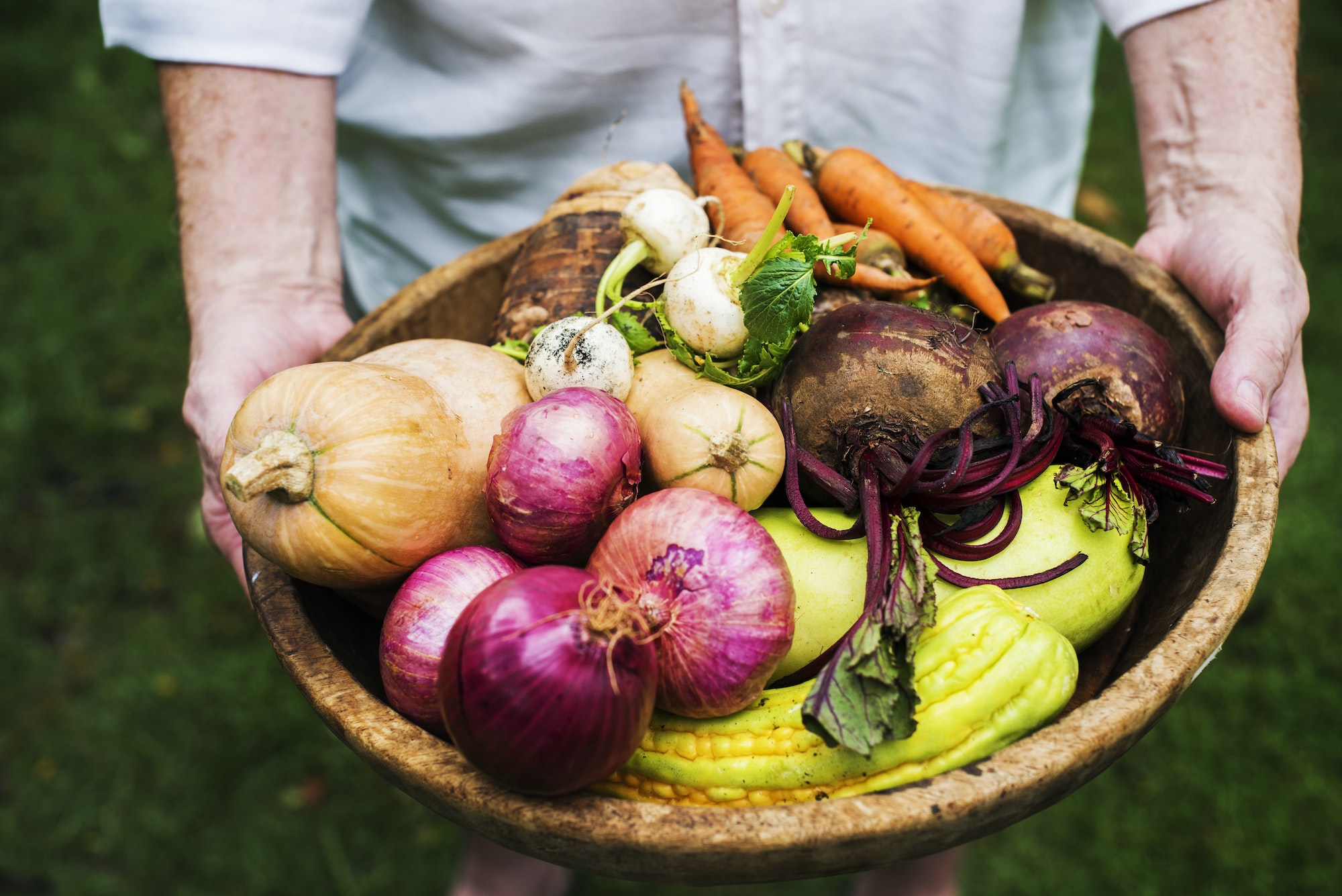 hands holding basket of mixed veggie produce from farm